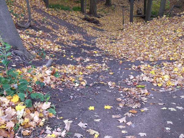 Niagara Falls in Autumn 2007 39